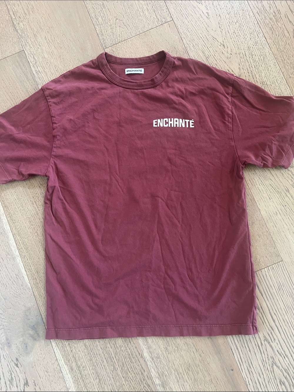 Men's Short Sleeve Tshirt. Size small (runs big).